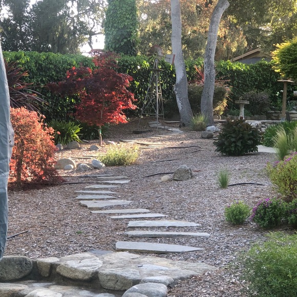 Meet your Posher, Christine and Bridgette🐾 - Picture 15 of 16